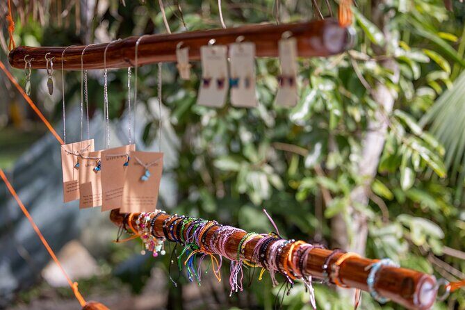 Butterfly Garden & Tortuguero Canals: A Unique Tropical Adventure - Tortuguero Canals Wildlife Boat Tour