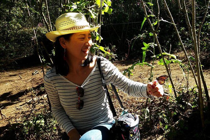 Butterfly Monarch Tour from Mexico City - Final Thoughts