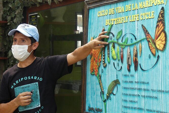 Butterfly Sanctuary Guided Tour in Puerto Vallarta - Key Points