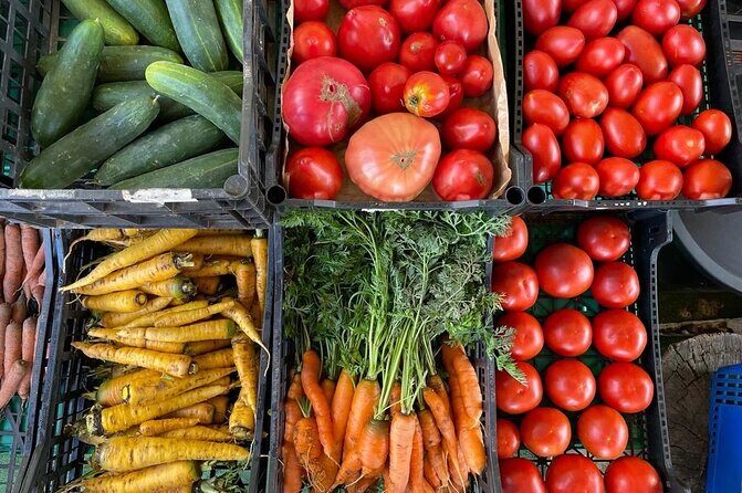 Buy, Cook & Taste-Gastronomic Tour North Portugal - Who Will Love This Tour?