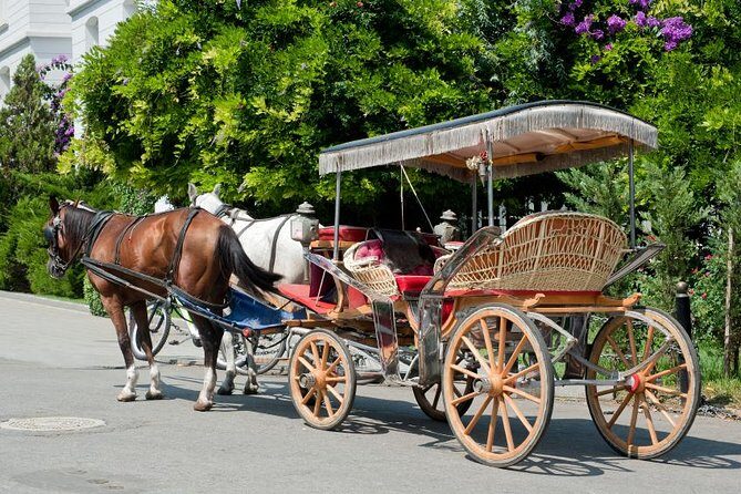 Buyukada Princes Island Guided Day Tour with lunch from Istanbul - The Itinerary in Detail