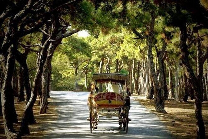 Buyukada Princes Island Guided Day Tour with lunch from Istanbul - Overall Value and Suitability