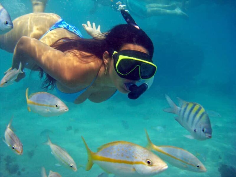 Búzios Day Trip from Rio de Janeiro - Exploring the Coastal Charm of Búzios