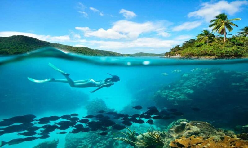 Buzios - DIVING EXPERIENCE - Buzios - DIVING EXPERIENCE: A Complete Review for Curious Travelers