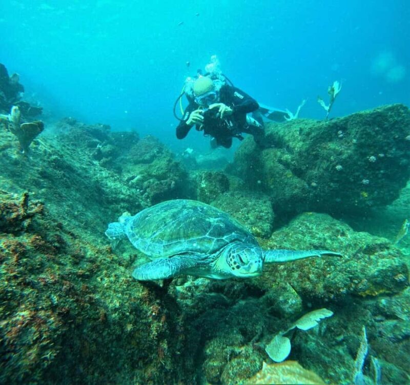 Buzios - DIVING EXPERIENCE - Why This Snorkeling Tour Stands Out