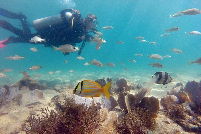 Búzios Iniciantes / Baptism João Fernandes Beach (Right Corner) - Summary: Is This the Right Choice for You?