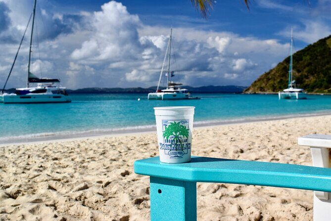 BVI Private Charter to Jost Van Dyke on 32' Power Catamaran - Key Points