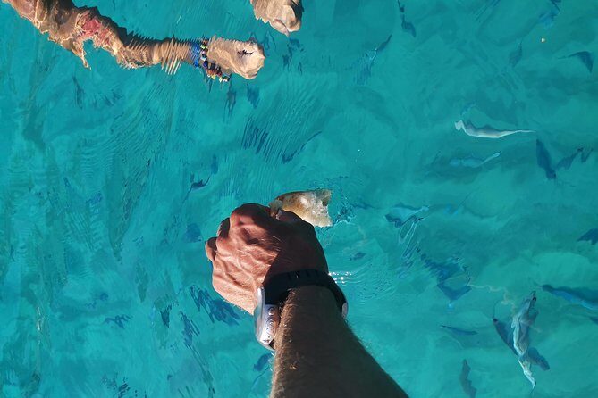 By boat between the sea and the most beautiful beaches! Capo Vaticano - Tropea - Briatico - Practical Details: Transportation, Duration, and Cost