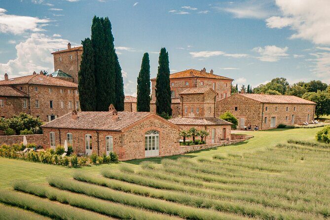 By Ebike: Visit an Art Park and Wine Taste in the Classic Chianti - Who Would Love This Tour?