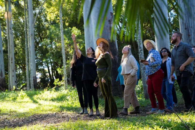 Byron Bay: Bangalow Bush Tucker Tour - Key Points