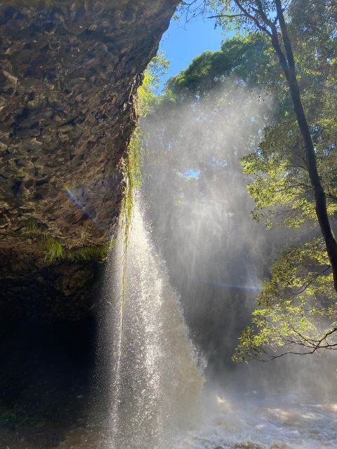 Byron Bay: Behind The Bay Waterfalls & Hidden Gems Day Tour - Key Points
