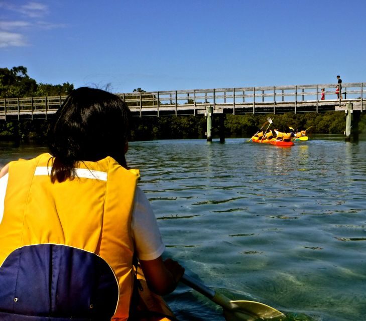 Byron Bay: Brunswick River Scenic Kayak Tour - An In-Depth Look at the Brunswick River Kayak Tour