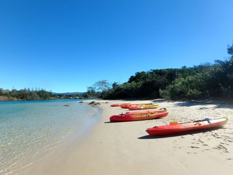 Byron Bay: Brunswick River Scenic Kayak Tour - Final Thoughts