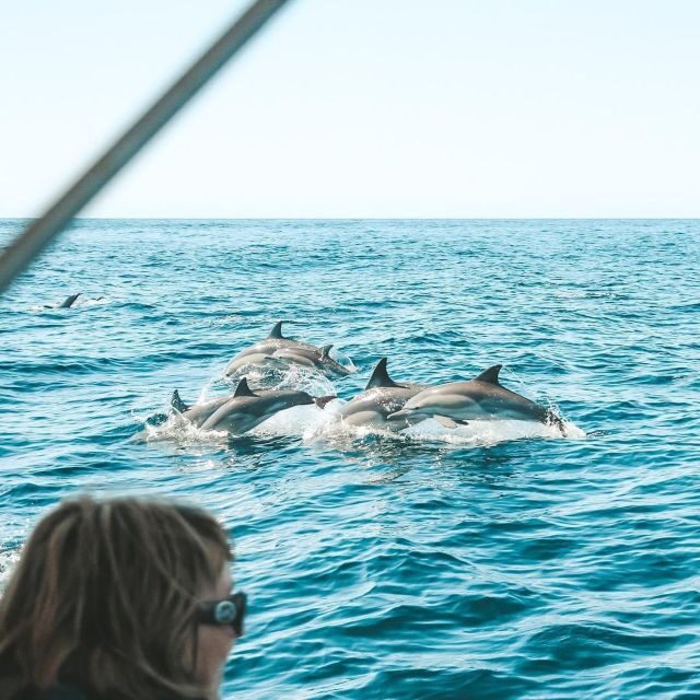 Byron Bay: Cruise with Dolphins Tour - Frequently Asked Questions