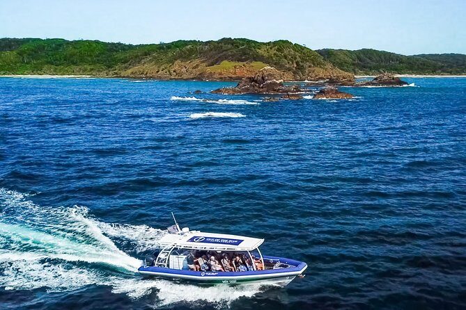 Byron Bay Dolphin Tour - Ocean Safari - FAQ