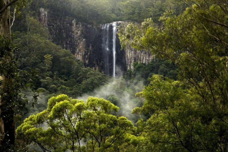 Byron Bay: Glowworms, Waterfalls & Rainforest Experience - Byron Bay: Glowworms, Waterfalls & Rainforest Experience — A Natural Wonderland