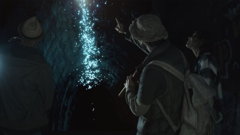 Byron Bay: Glowworms, Waterfalls & Rainforest Experience - Who Should Consider This Tour?