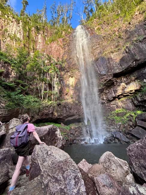 Byron Bay: Glowworms, Waterfalls & Rainforest Experience - The Sum Up