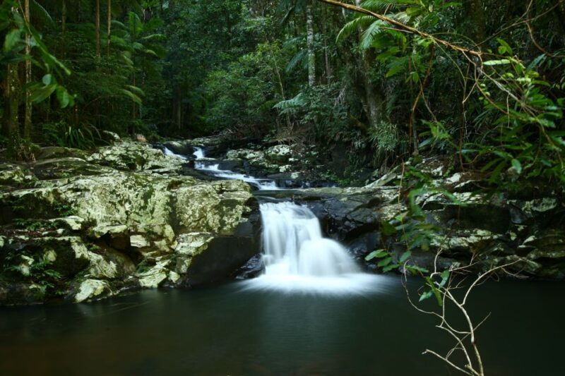 Byron Bay: Glowworms, Waterfalls & Rainforest Experience - FAQ