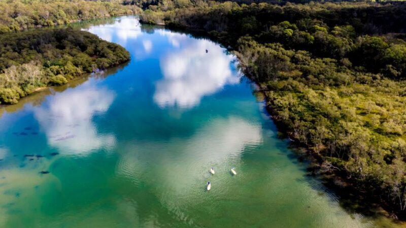 Byron Bay: Group 2.5 Hour Stand-Up Paddle Board Tour - Key Points