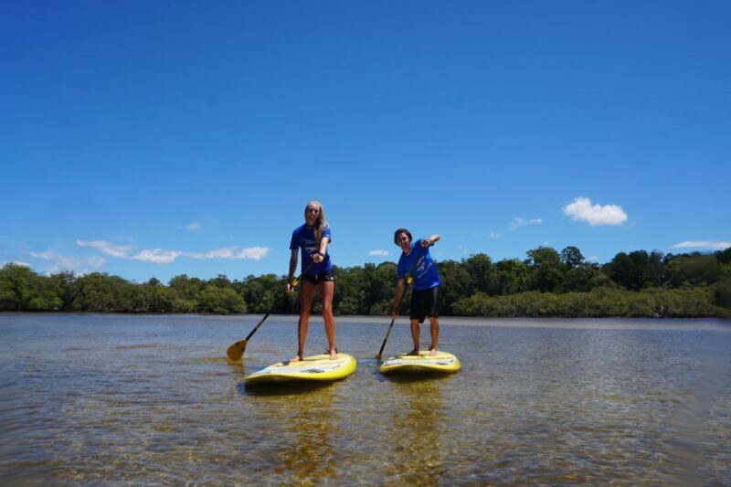 Byron Bay: Group 2.5 Hour Stand-Up Paddle Board Tour - FAQ
