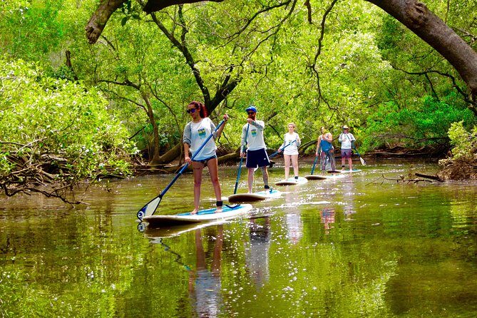 Byron Bay Platypus Walk - Final Thoughts