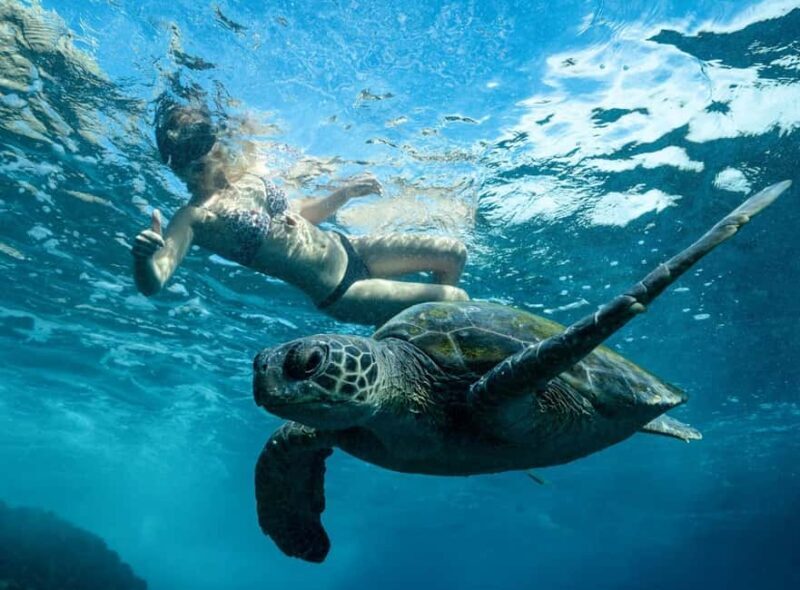 Byron Bay: Snorkeling Tour at Julian Rocks, Nguthungulli - FAQ