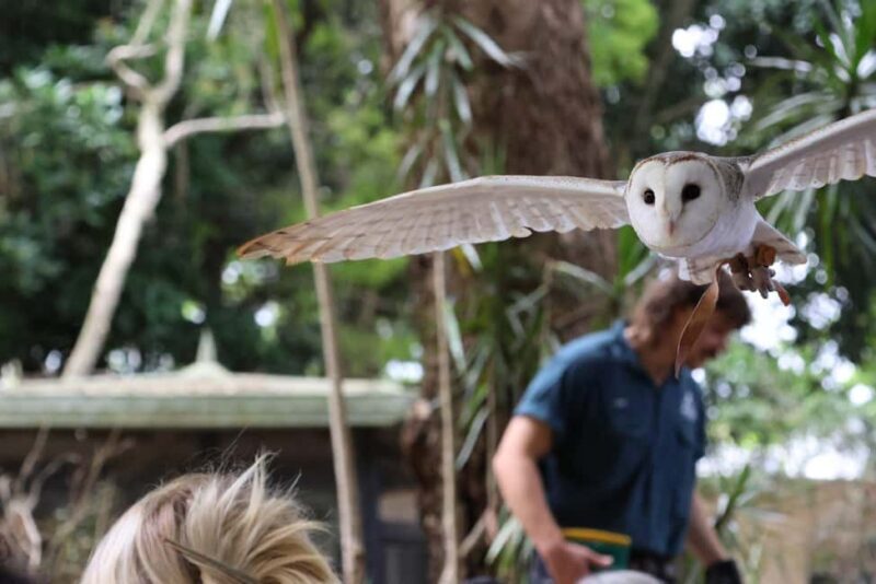 Byron Bay Wildlife Sanctuary Entry Ticket - Discovering Byron Bay Wildlife Sanctuary: An Honest Look