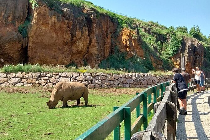 Cabarceno Natural Park Visit - Authentic Experiences from Reviews