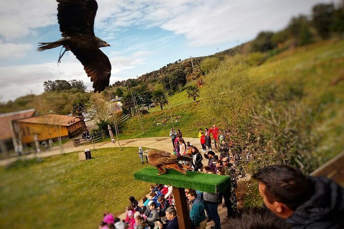 Cabarceno Natural Park Visit - Price Analysis and Value