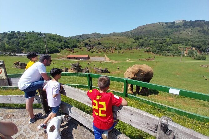 Cabarceno Natural Park Visit - Final Thoughts