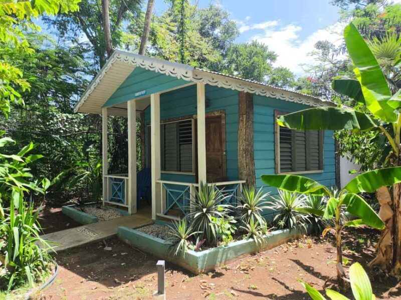 Cabarete: El Choco National Park Caves Tour with Pickup - In-Depth Review of the El Choco National Park Caves Tour
