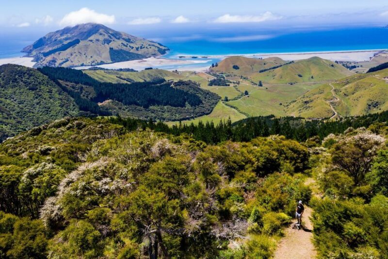 Cable Bay Adventure Park: E-bike hire - Who Will Love This Experience?