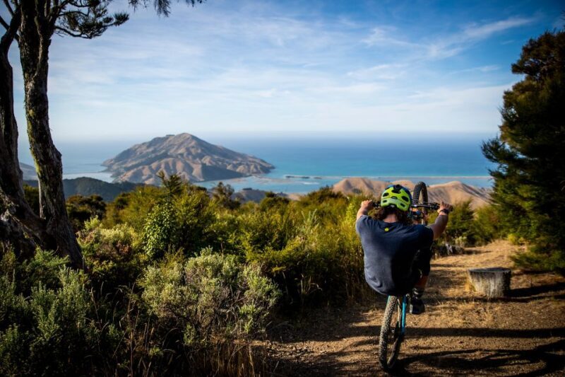 Cable Bay Adventure Park: E-bike hire - FAQ