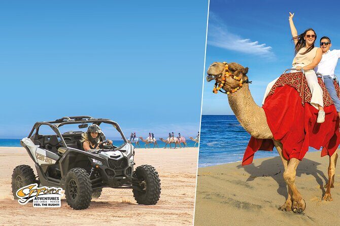 Cabo Adventure: Can-Am X3 Ride & Camel Beach Tou - An In-Depth Look at the Cabo Adventure Tour
