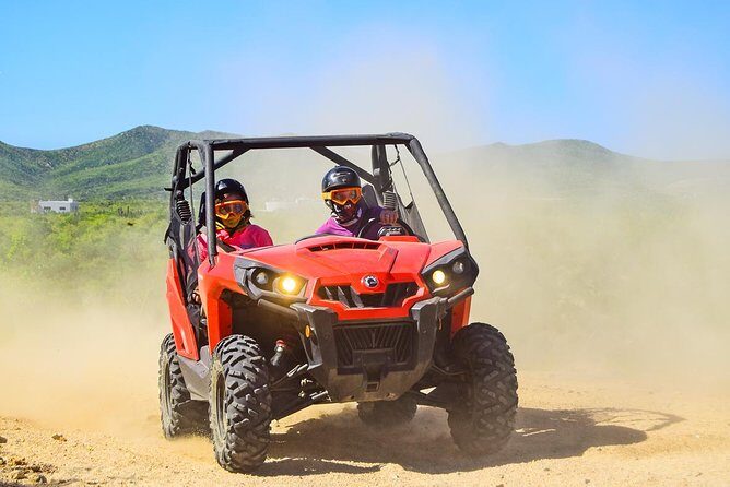 Cabo Adventure: Can-Am X3 Ride & Camel Beach Tou - Authentic Experiences: What Travelers Say