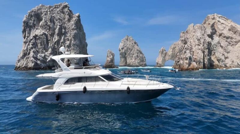Cabo: Arch, Whales, Snorkel Tour - Food & Drinks 1-20 people - Key Points