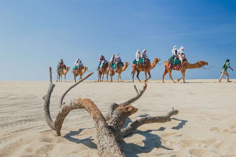 Cabo: ATV and Camel Combo Adventure Tour - Additional Stops and Souvenirs