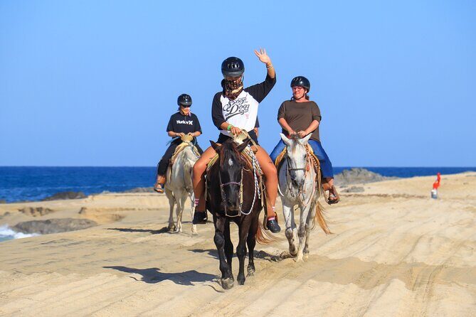 Cabo ATV and Horseback Riding Combo Experience in Migriño - Key Points