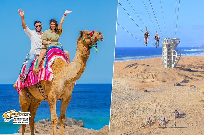 Cabo Beach Adventure Camel Ride and Sky Bike Experience - Key Points