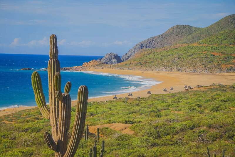 Cabo: Beach & Desert Single ATV Tour with Tequila Tasting - Who Will Love This Tour?