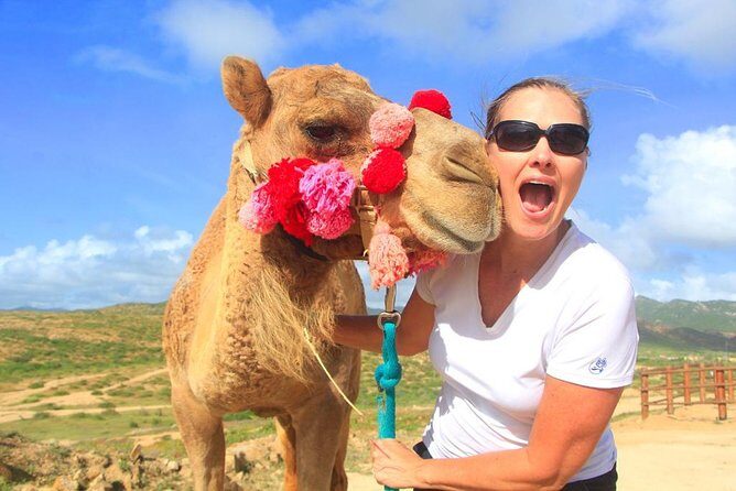 Cabo Camel and Safari Ride - FAQ