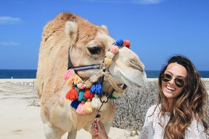 Cabo Camel Ride: Beach Safari, Tequila Tasting & Buffet - A Unique Adventure in Cabo San Lucas: Camel Rides, Tequila Tasting, and Beachfront Dining