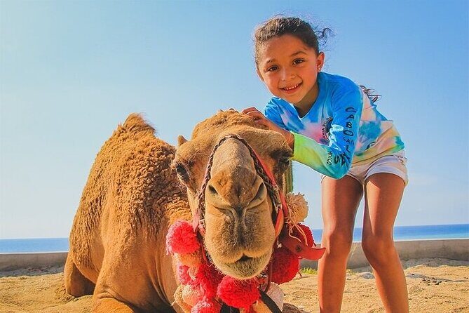 Cabo Camel Ride: Beach Safari, Tequila Tasting & Buffet - In-Depth Review: What to Expect from the Cabo Camel Ride Experience