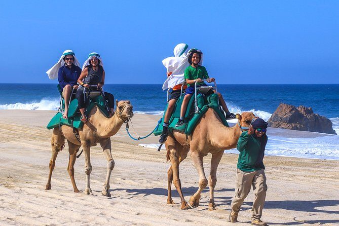 Cabo Camel Ride Experience - Discover the Cabo Camel Ride Experience: A Unique Adventure in Los Cabos