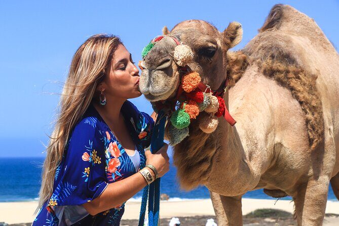 Cabo Camel Ride Experience - Key Points