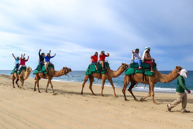 Cabo Camel Ride Experience - FAQs