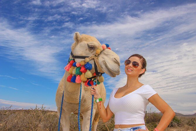 Cabo Camel Ride, Mexican Buffet and Tequila Tasting - What Makes It Worth the Price?