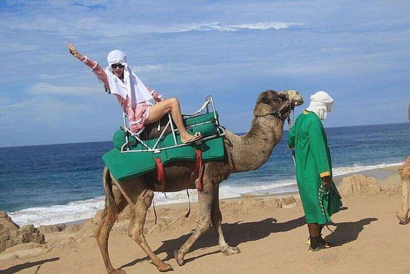 Cabo: Camel Ride On The Beach - Key Points