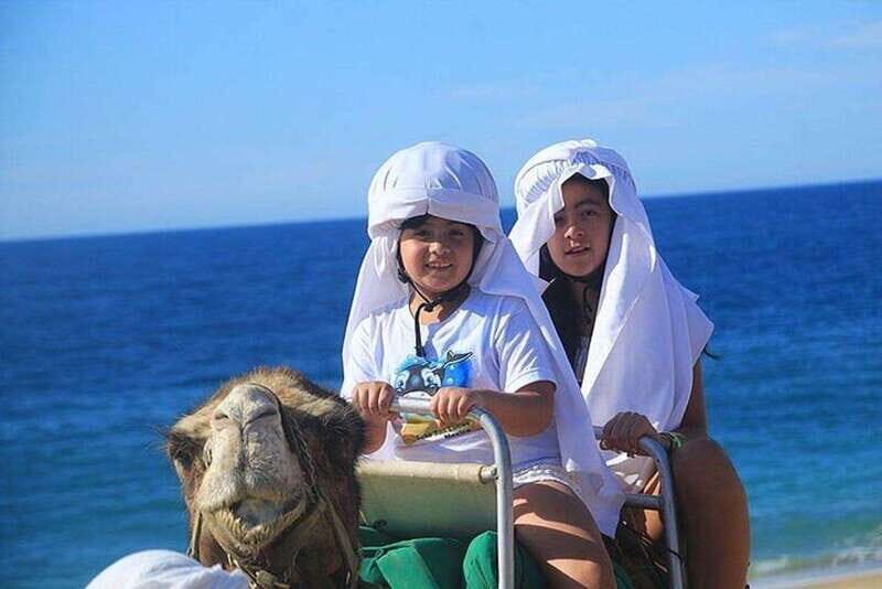 Cabo: Camel Ride On The Beach - Exploring the Experience in Detail